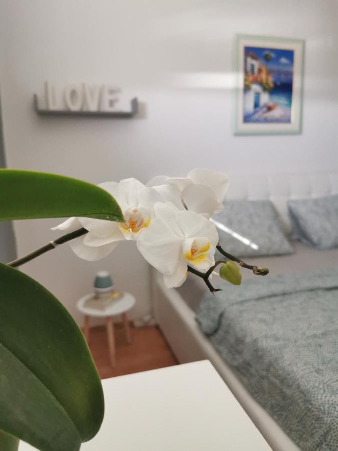 Kenzo Apartment 센 외부 사진